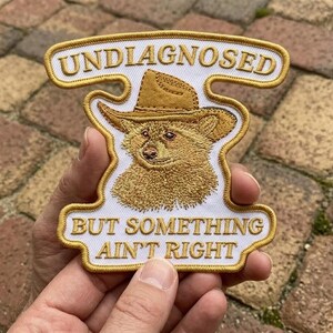 Waschbär Aufnäher Lustiges Zitat, Undiagnostiziert, aber etwas ist nicht richtig Aufnäher, gesticktes Aufnäher für Jacke, Weste, Hut, Geburtstagsgeschenk