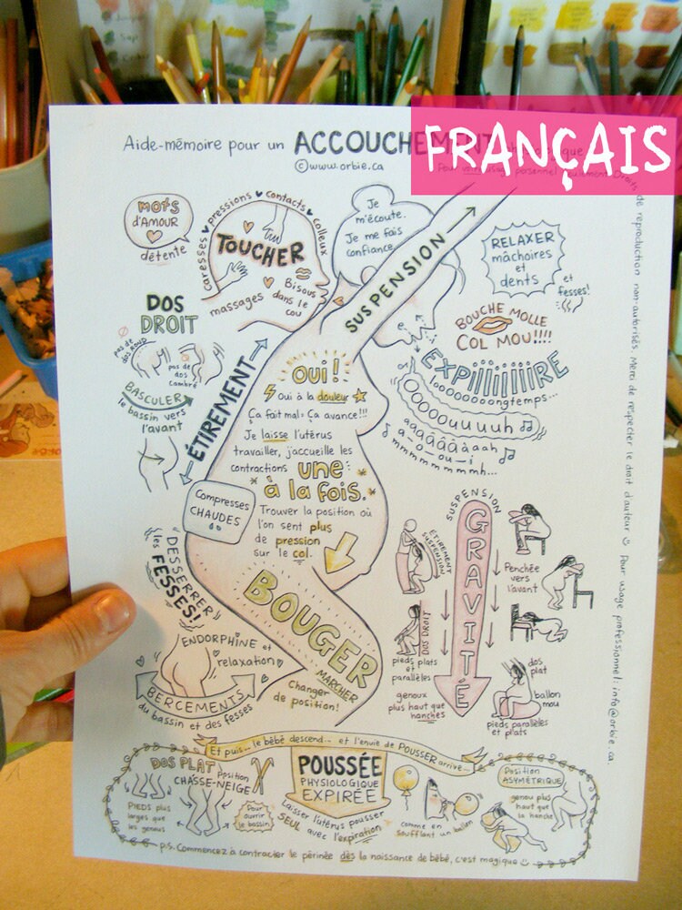 Fr French Cheat Sheet In Color For Preparation To Etsy