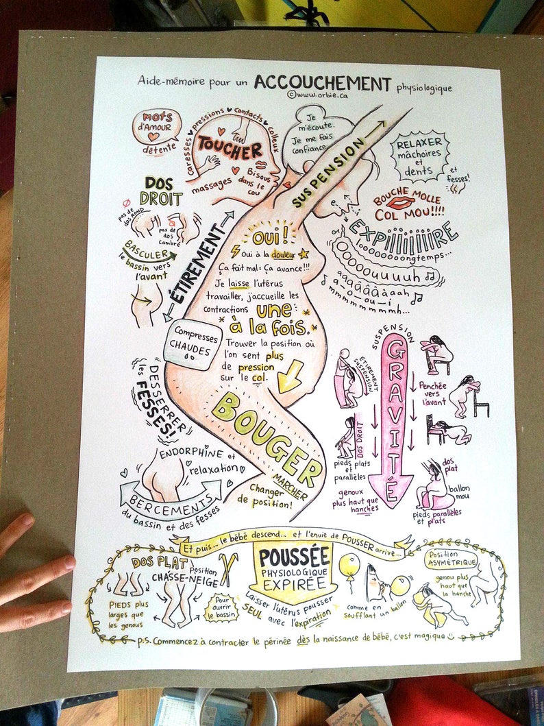 17 X 24 yoga teachers in french to hang for midwives FR doulas Poster Cheat sheet for physiological birth A2 FRENCH nurses
