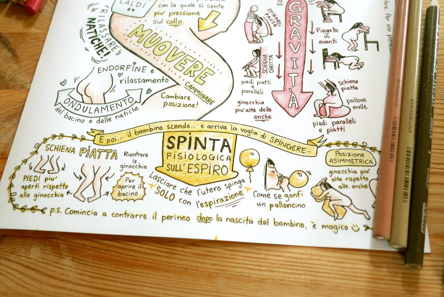 IT ITALIAN cheat Sheet in Color for Preparation to - Etsy