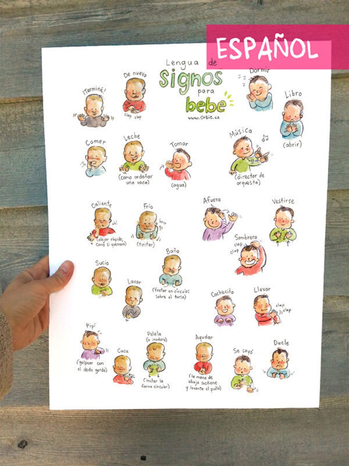 ES Lengua de los signos de bebe Lenguaje de señas para | Etsy