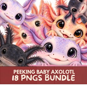 Puede incluir: Un paquete de ilustraciones digitales con varios bebés ajolotes en tonos morado, rosa y negro con ojos grandes y branquias plumosas. El texto PEEKING BABY AXOLOTL 18 PNGS BUNDLE está impreso en blanco sobre un fondo rectangular rojo oscuro.