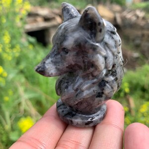 Cráneo de lobo de espectrolita: Regalo de sanación con cristal tallado a mano (2,4")