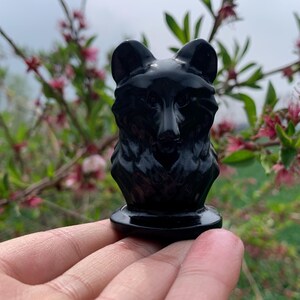Cráneo de lobo de obsidiana: Regalo de sanación con cristal tallado a mano (2,4")
