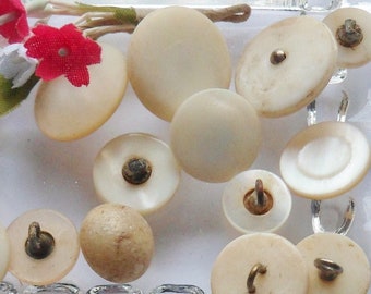 Fourteen Shell Buttons, Primitive Metal Shank Buttons Made from Sea Shells, Vintage Handmade Assorted Shapes Sizes