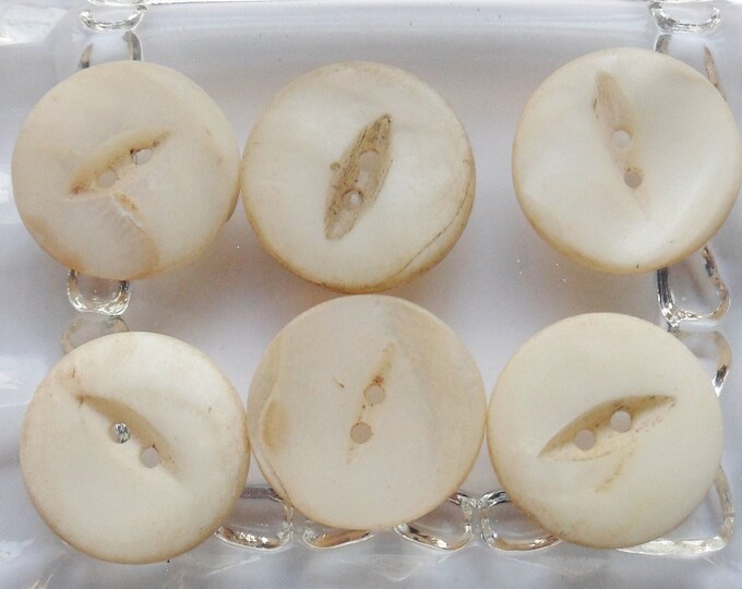 Six Shell Buttons, Primitive Handmade Fish Eye Buttons Made From Sea ...