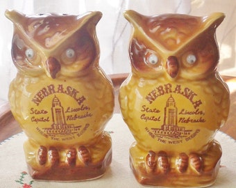 Owl Salt and Pepper Shakers with Moving Eyes, Souvenir Nebraska Salt and Pepper Set, Vintage Japan Owl Shakers