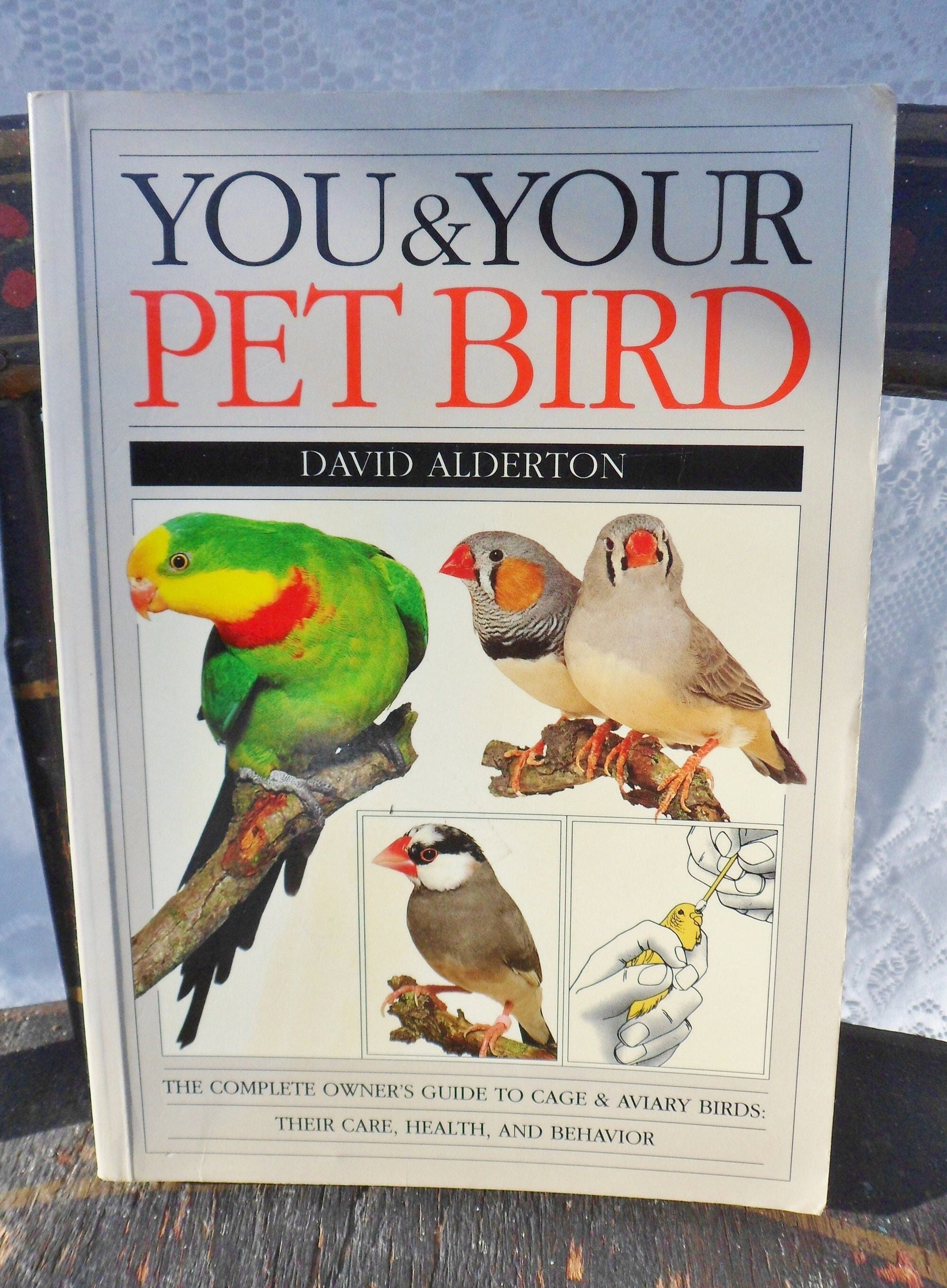 DISEASES OF CAGE AND AVIARY BIRDS レア本 Cage & Aviary Birds Magazine Subscriptions and 20th August
