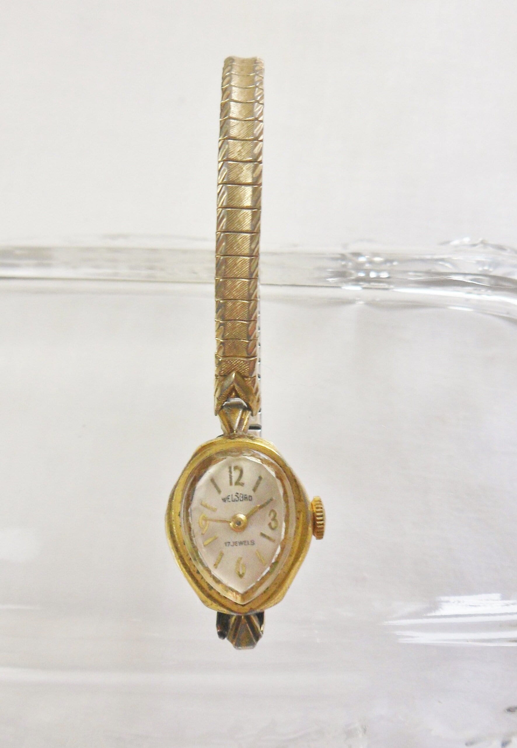 Welsbro ladies best sale watch