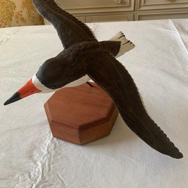Black Skimmers Etsy