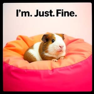 May include: A guinea pig with brown and white fur rests on a bright pink and orange beanbag chair. The text "I'm. Just. Fine." is displayed in black letters at the top of the image.