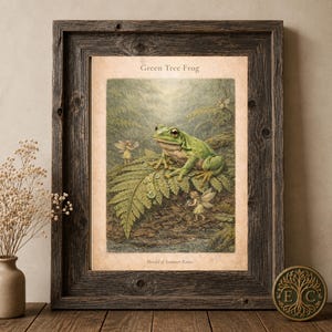 Green Tree Frog Art Print | Vintage Naturalist Fairy Illustration (Digital Download)