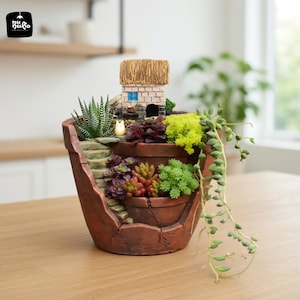 Miniature Succulent Fairy Garden in Rustic Pot