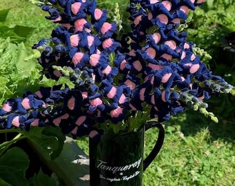 Midnight Snapdragon Seeds Mix Heirloom Garden Flowers