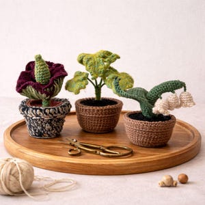 Può includere: Tre piante in vaso all'uncinetto sono su un vassoio di legno. Le piante includono un fiore bordeaux e verde, una pianta con foglie verdi e una pianta con fiori bianchi a forma di campana. Un paio di forbici dorate e un gomitolo di lana sono anche sul vassoio.