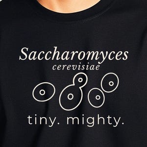 May include: Black crew neck t-shirt featuring the text "Saccharomyces cerevisiae" and "tiny. mighty." in white, along with a white illustration of circular shapes. The shirt is a classic design.