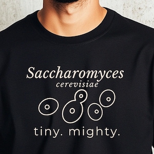 Saccharomyces Yeast Shirt, Minimales Bier Wissenschaft T-Shirt, Gärung Shirt, Craft Beer Grafik T-Shirt, Geschenk für Bierliebhaber