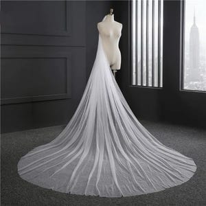 Puede incluir: Un velo de novia blanco y largo, hecho de tela transparente, está drapeado sobre un maniquí. El velo se extiende por el suelo. El maniquí está colocado frente a una pared oscura y una ventana con vistas a la ciudad. El velo mide unos 300 cm.
