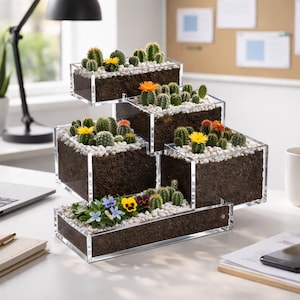 May include: A tiered, clear acrylic planter filled with soil, small cacti, and white pebbles. The cacti have yellow and orange flowers. The bottom tier has small blue and yellow flowers. The planter is on a white desk.