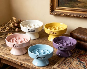 Personalized Elevated Slow Feeder Pet Bowl Custom Name Ceramic Cat Bowl Raised Dog Dish Anti Choke Whisker Friendly Orthopedic Pet Gift