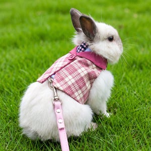 May include: A white rabbit wearing a pink and white plaid vest with a solid dark pink collar and a single button. A small patterned necktie is visible at the neckline. A light pink leash with silver metal hardware is attached to the back of the vest.