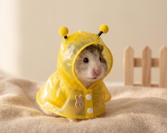 Könnte beinhalten: Ein kleiner Hamster trägt einen durchscheinenden gelben Regenmantel mit Kapuze. Die Kapuze ist oben mit zwei gelben Bommel-Antennen versehen. Der Mantel hat zwei weiße Druckknöpfe und eine kleine braune Applikation in Hasenform.