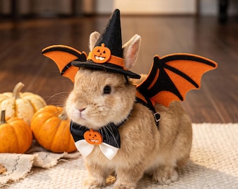 Conjunto de disfraz de conejito de Halloween, alas de murciélago, sombrero de bruja, pajarita, disfraz de conejo, gato o chinchilla, disfraz para mascotas pequeñas, accesorio para fotos
