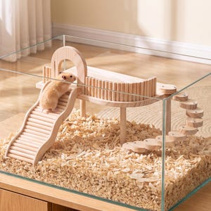 May include: A light-colored wooden hamster playground set inside a glass enclosure. The structure features a curved ramp, a platform with a slatted fence, and a spiral staircase. A small, light brown hamster is climbing up the ramp.