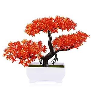 Mini Orange Faux Bonsai - Kunstpflanze im Zementtopf