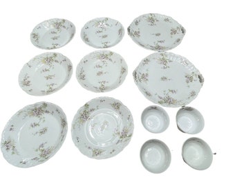 12 pcs Bawo & Dotter elite works Limoges France dinnerware purple flowers
