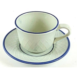 Franciscan interface blue lattice cup and saucer USA