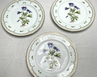 Georges Briard victorian garden 10 3/8" Dinner Plate  bird’s foot violet 3 pcs