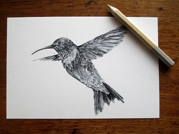 Ähnliche Artikel wie Kolibri Postkarten Hinweis Karten leere Postkarten