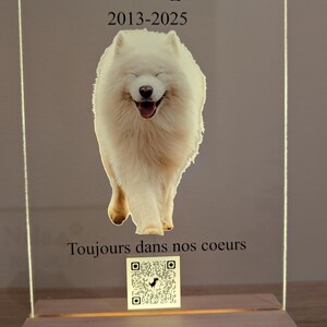Peut inclure: Plaque commémorative avec le nom "Nala" et les années "2013-2025" au-dessus d'une image d'un chien blanc souriant. La phrase "Toujours dans nos coeurs" est en dessous. La plaque est sur une base en bois.