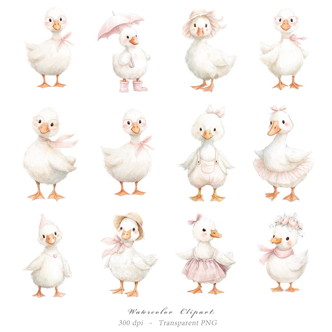 Watercolor Girly Goose Clipart, Pink Silly Goose PNG, Boho Baby Shower ...