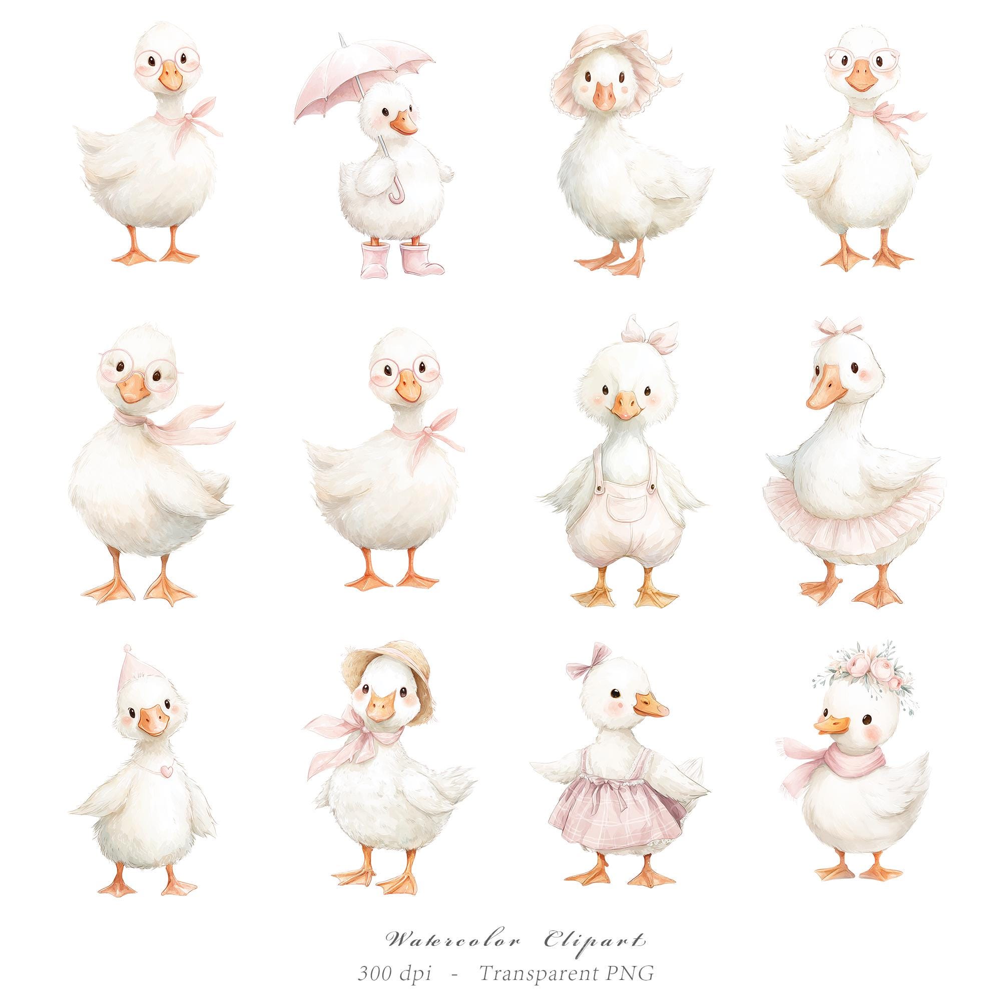 Watercolor Girly Goose Clipart, Pink Silly Goose PNG, Boho Baby Shower ...