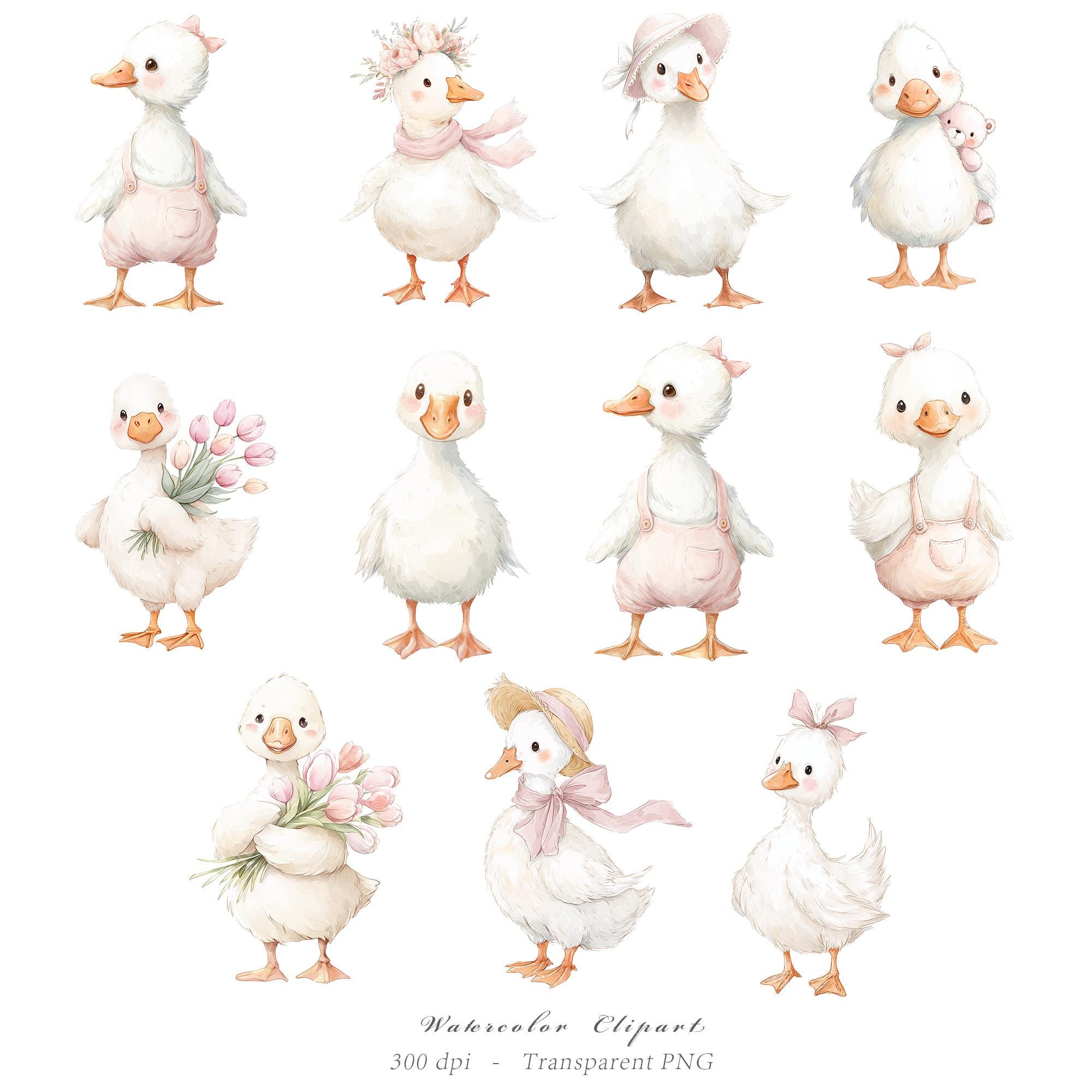 Watercolor Girly Goose Clipart, Pink Silly Goose PNG, Boho Baby Shower ...