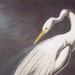 see more listings in the Audubon: Birds of Amer section