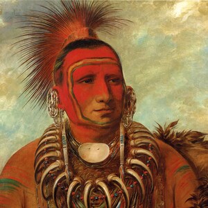 George Catlin: The Indian Gallery - Shon-ta-yi-ga - Little Wolf, Famous Warrior, Iowa Tribe, 1844. Fine Art Print.