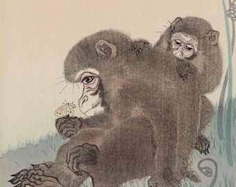 Two monkeys with butterfly sitting in the grass, c. 1930 by Ohara Koson. Fine Art Reproduction.