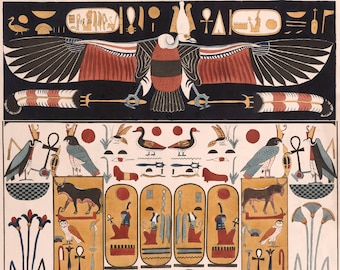 Ancient Egyptian Art Reproduction:  Vulture, Wall Painting from the Tomb of Psammuthis. Fine Art Print