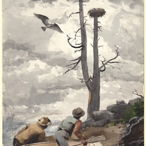 Eagles Nest, 1902. Winslow Homer Watercolor Reproductions. Fine Art Print.