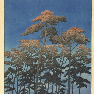 Japanese Art: Kawase Hasui (1883-1957) - Hikawa Park, 1930. Fine Art Reproduction