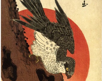 Japanese Art. Fine Art Reproduction. Hiroshige - Birds: Falcon on a Pine Tree with the Rising Sun, c. 1835