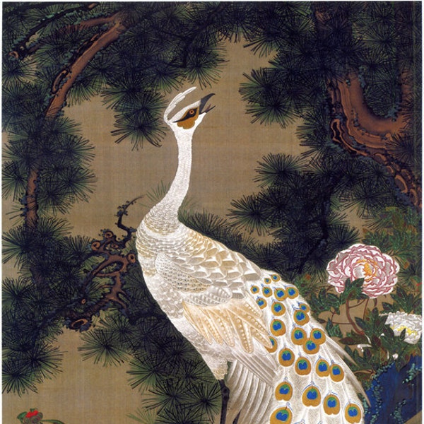 Japanese Art. Fine Art Reproduction.  Peacock and Pine Tree, c.1760 by Ito Jakuchu. Fine Art Print