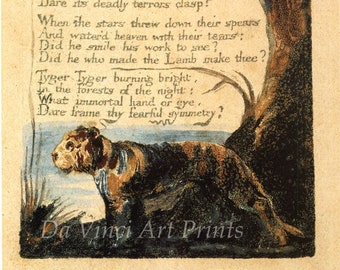 The Illuminated Prints of William Blake. From Songs of Experience: The Tyger, c.1793-4. Fine Art Reproduction.