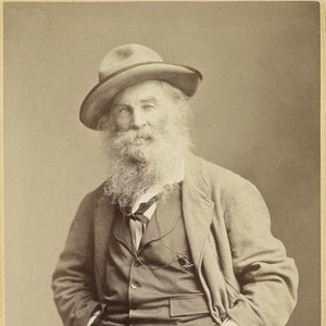 American Photography: Reproduction of a Carte de Visite of Walt Whitman, 1870. Digital Photograph