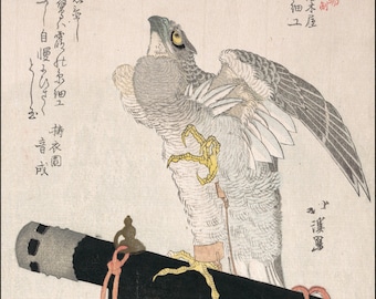 Japanese Art. Fine Art Reproduction.  Hawk, Surimono Print, 19th Century. Fine Art Print