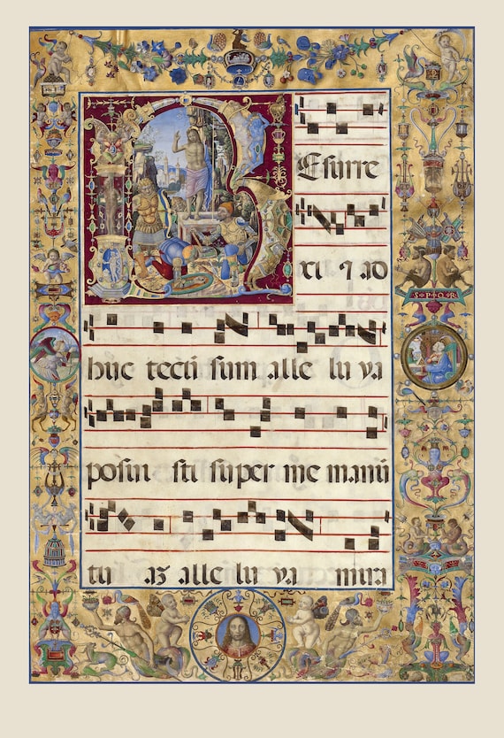 洋書 Illuminated Manuscripts Illuminated Manuscripts (Shire Library, 841): Hayman