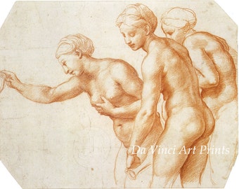 Fine Art Reproduction. Study for The Three Graces, c. 1517, Drawing by Raphael. Fine Art Print.